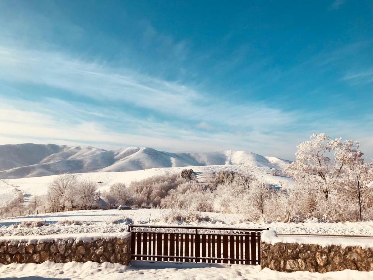 Zlatibor Cottages Экстерьер фото